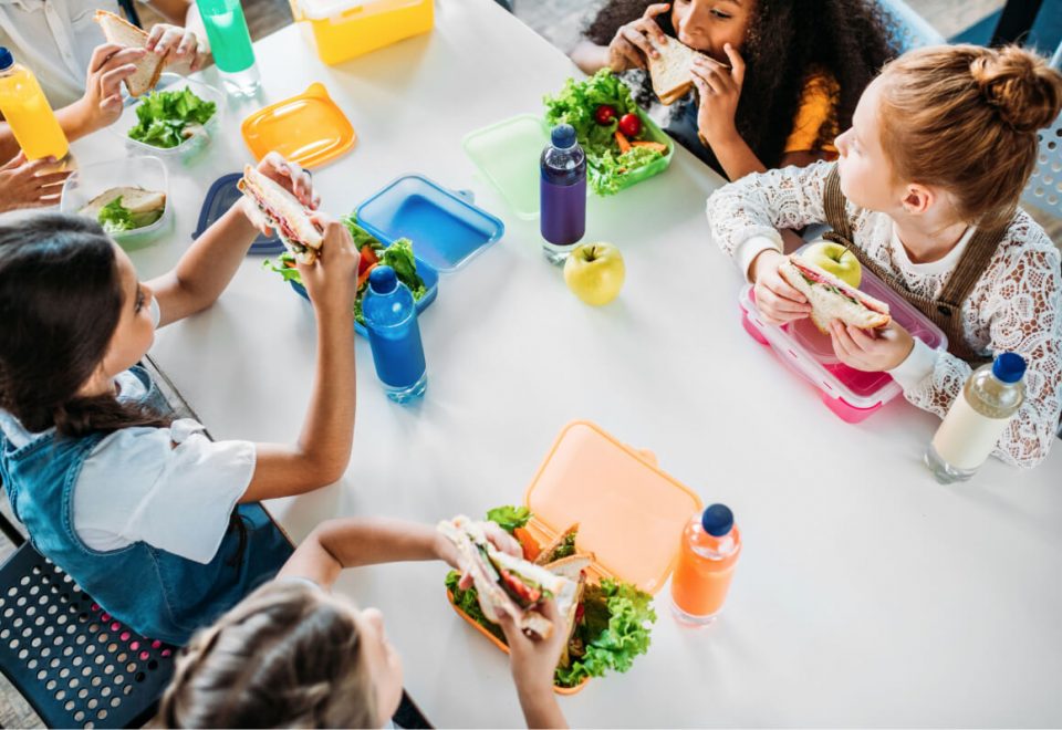 Importance of Healthy Food at School Importance of Healthy Food at School
