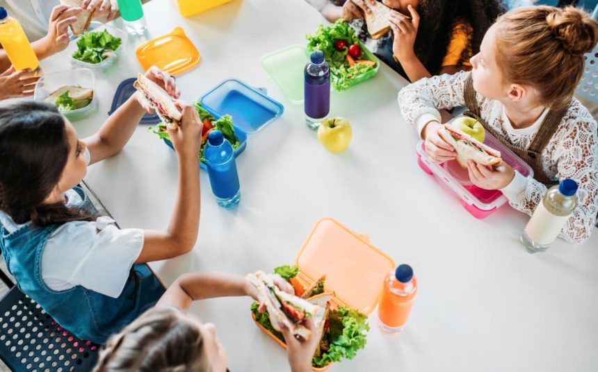 Importance of Healthy Food at School
