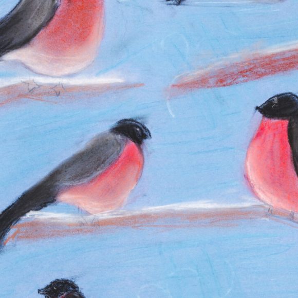 Winter Birds